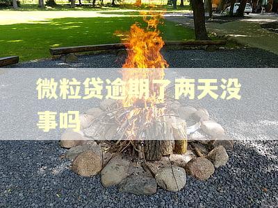 微粒贷逾期了两天没事吗