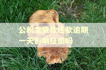 公积金贷款还款逾期一天影响征信吗