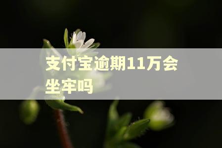 支付宝逾期11万会坐牢吗