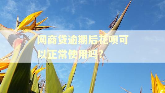 网商贷逾期后花呗可以正常使用吗?