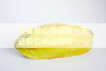 抖音放心借逾期一天还款影响征信吗 抖音放心借逾期一天还款影响征信吗