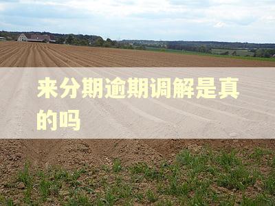 来分期逾期调解是真的吗