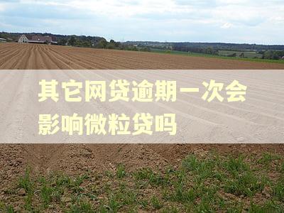 其它网贷逾期一次会影响微粒贷吗