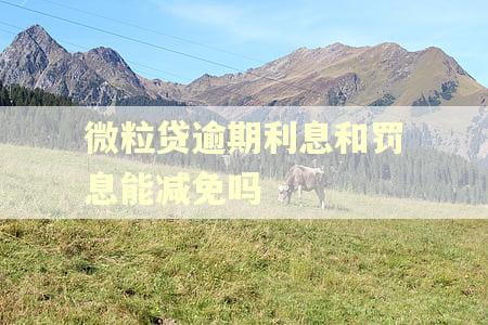 微粒贷逾期利息和罚息能减免吗