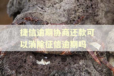 捷信逾期协商还款可以消除征信逾期吗