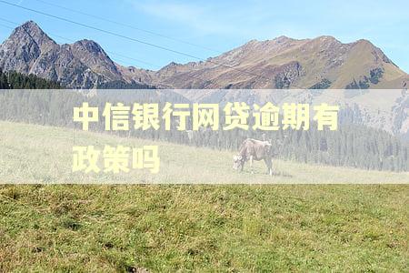 中信银行网贷逾期有政策吗