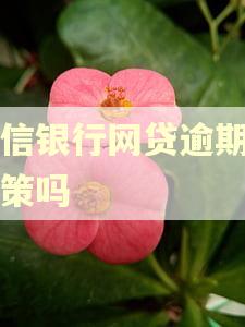 中信银行网贷逾期有政策吗