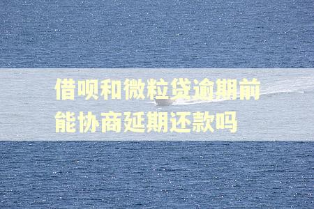借呗和微粒贷逾期前能协商延期还款吗