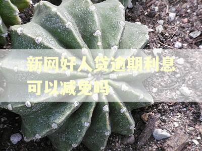 新网好人贷逾期利息可以减免吗 新网好人贷逾期利息可以减免吗