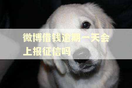 微博借钱逾期一天会上报征信吗
