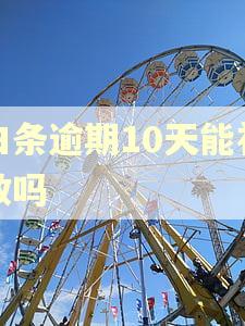 白条逾期10天能补救吗