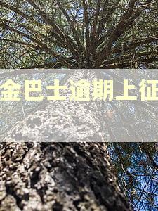 现金巴士逾期上征信吗