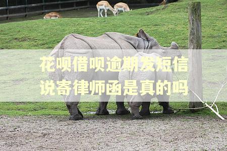 花呗借呗逾期发短信说寄律师函是真的吗