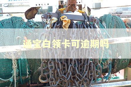 通宝白领卡可逾期吗