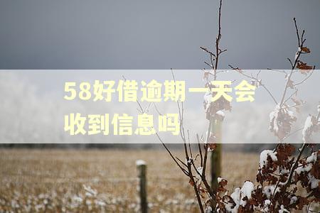 58好借逾期一天会收到信息吗