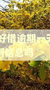 58好借逾期一天会收到信息吗