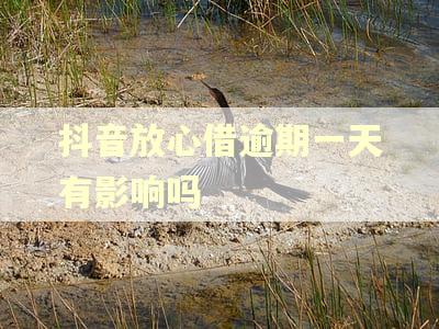 抖音放心借逾期一天有影响吗
