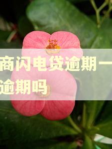 招商闪电贷逾期一天算逾期吗