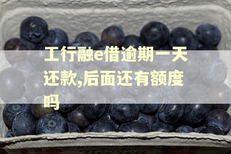 工行融e借逾期一天还款,后面还有额度吗