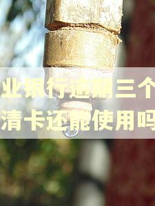 兴业银行逾期三个月还清卡还能使用吗?