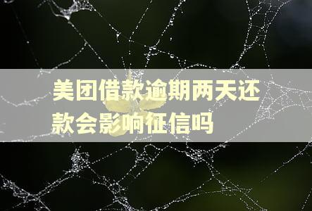 美团借款逾期两天还款会影响征信吗