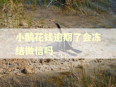小鹅花钱逾期了会冻结微信吗