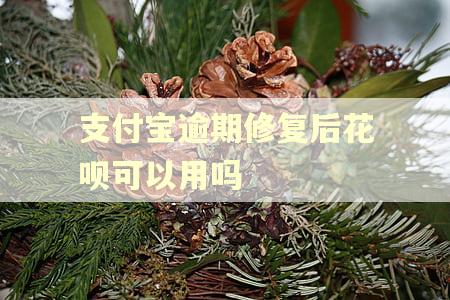 支付宝逾期修复后花呗可以用吗