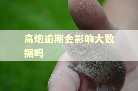高炮逾期会影响大数据吗