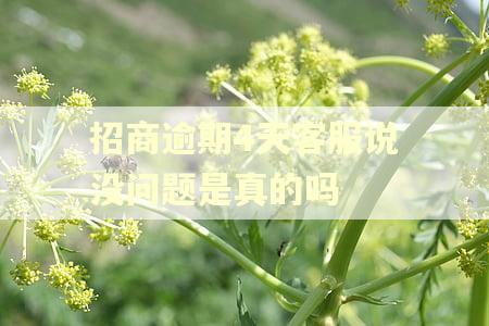 招商逾期4天客服说没问题是真的吗