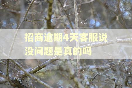 招商逾期4天客服说没问题是真的吗 招商逾期4天客服说没问题是真的吗