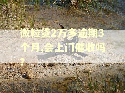 微粒贷2万多逾期3个月,会上门催收吗？