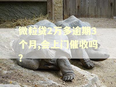 微粒贷2万多逾期3个月,会上门催收吗？