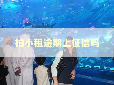 拍小租逾期上征信吗