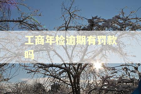 工商年检逾期有罚款吗