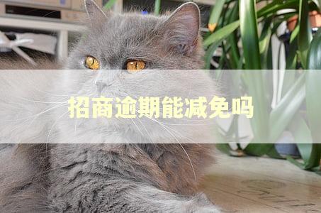 招商逾期能减免吗