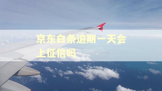 京东白条逾期一天会上征信吗