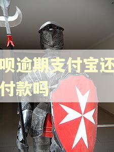 花呗逾期支付宝还能收付款吗