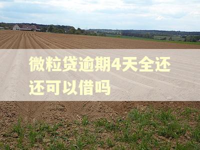 微粒贷逾期4天全还还可以借吗