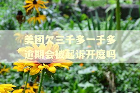 美团欠三千多一千多逾期会被起诉开庭吗