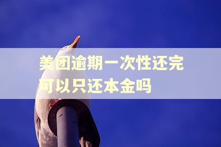 美团逾期一次性还完可以只还本金吗