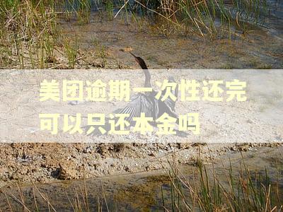 美团逾期一次性还完可以只还本金吗