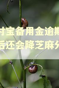 支付宝备用金逾期修复后还会降芝麻分吗?