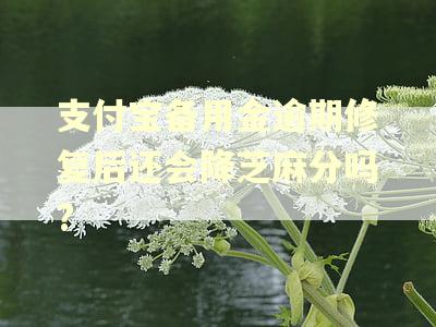 支付宝备用金逾期修复后还会降芝麻分吗?