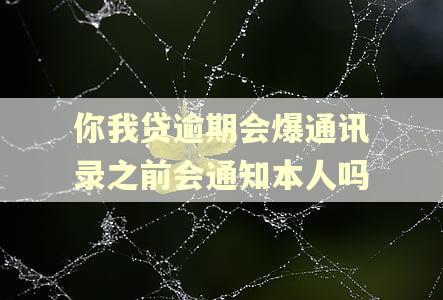 你我贷逾期会爆通讯录之前会通知本人吗