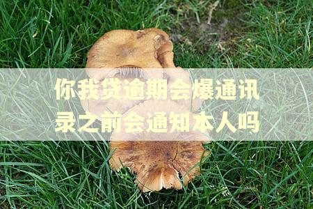 你我贷逾期会爆通讯录之前会通知本人吗