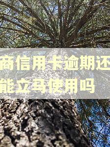 招商信用卡逾期还款后能立马使用吗