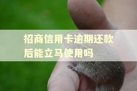 招商信用卡逾期还款后能立马使用吗
