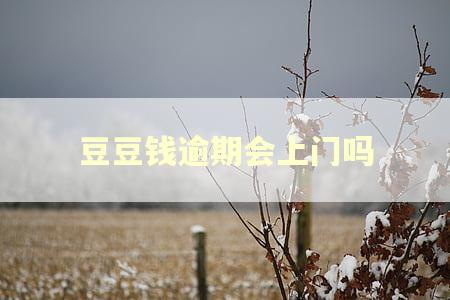 豆豆钱逾期会上门吗