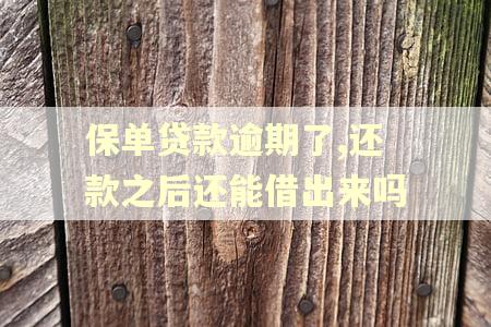 保单贷款逾期了,还款之后还能借出来吗
