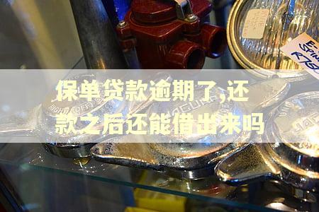 保单贷款逾期了,还款之后还能借出来吗